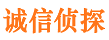 永吉市私家侦探